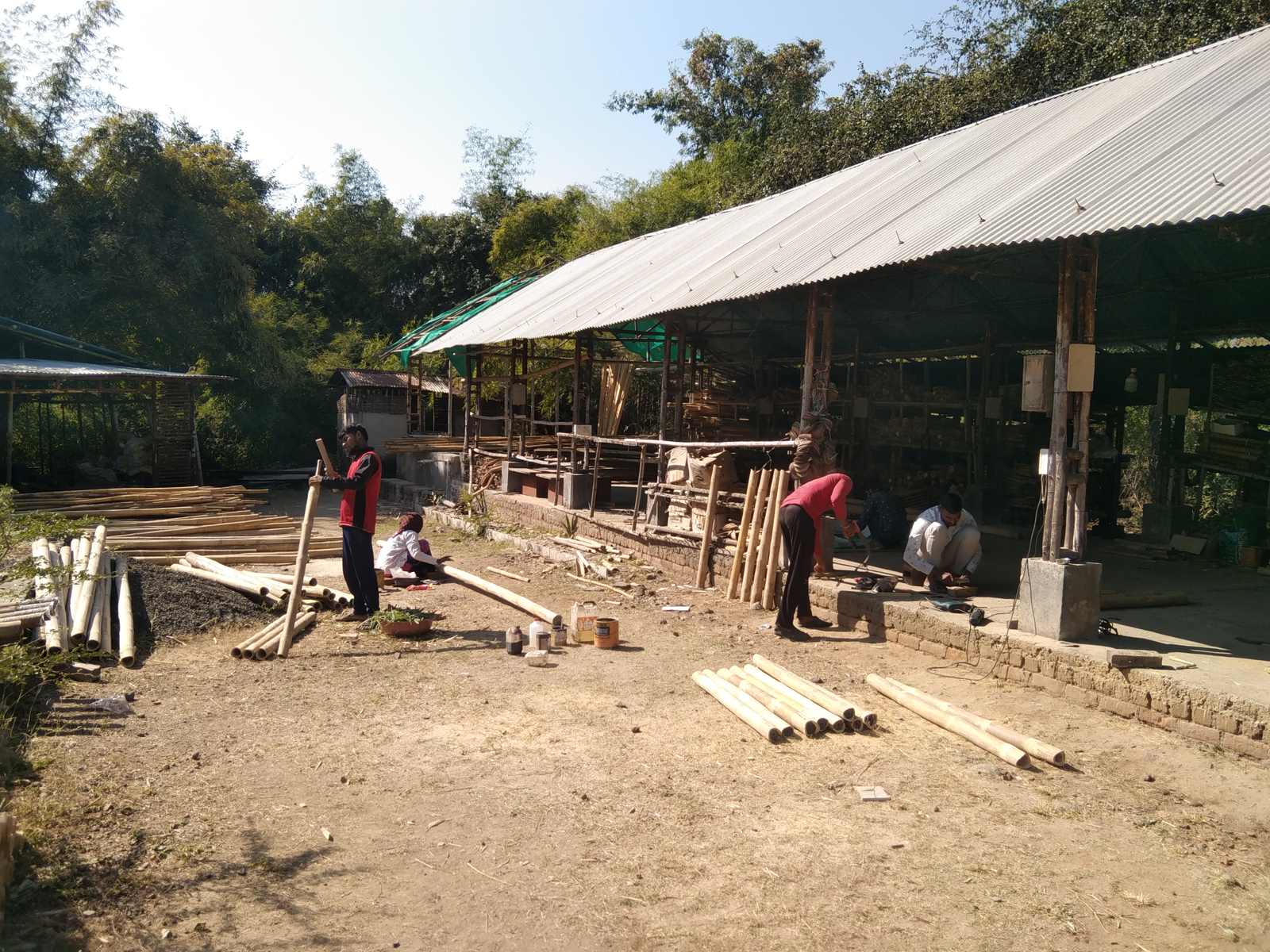 Wonder Grass workshop