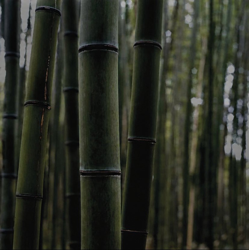 Bamboo material