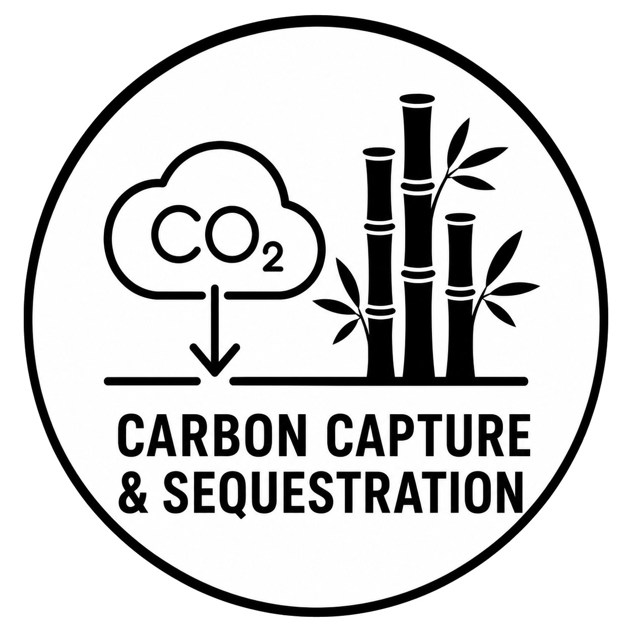 Carbon Sequestering