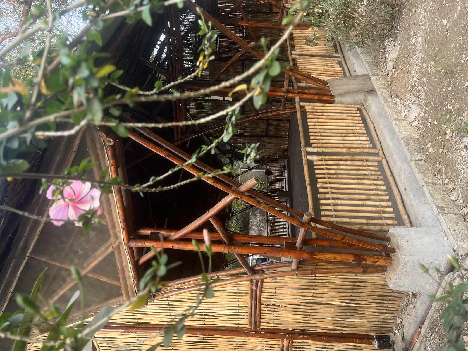 Community Space — overhead view through bamboo canopy and structure