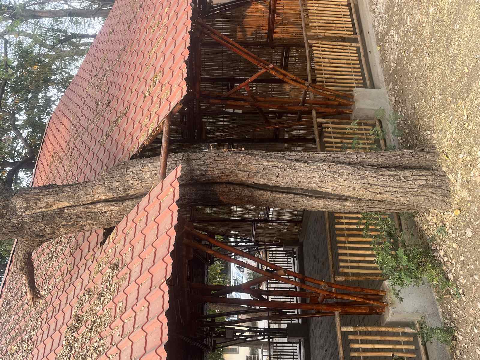 Community Space exterior — bamboo roof overhangs and column structure