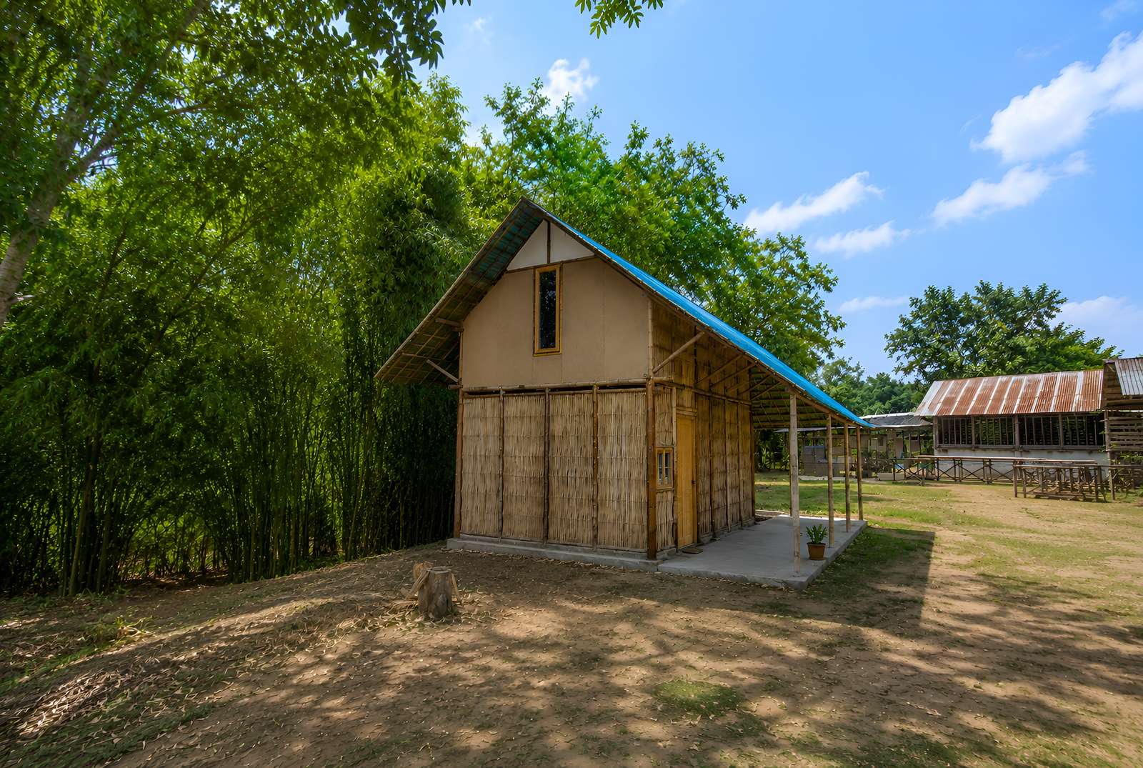 Bamboo solutions