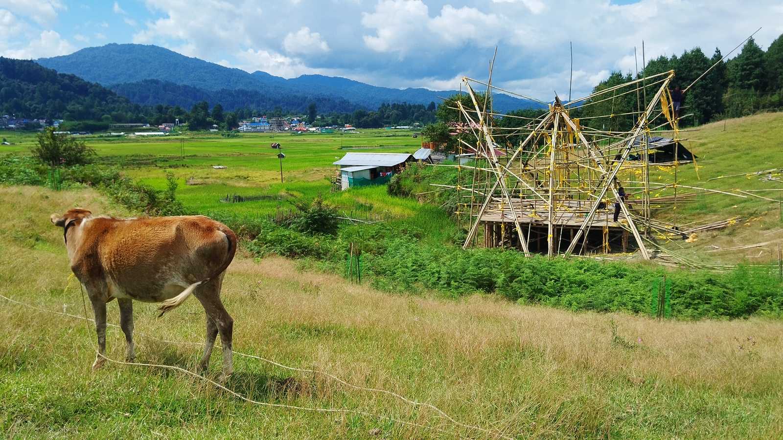 Ziro Music Festival — bamboo stage panel work