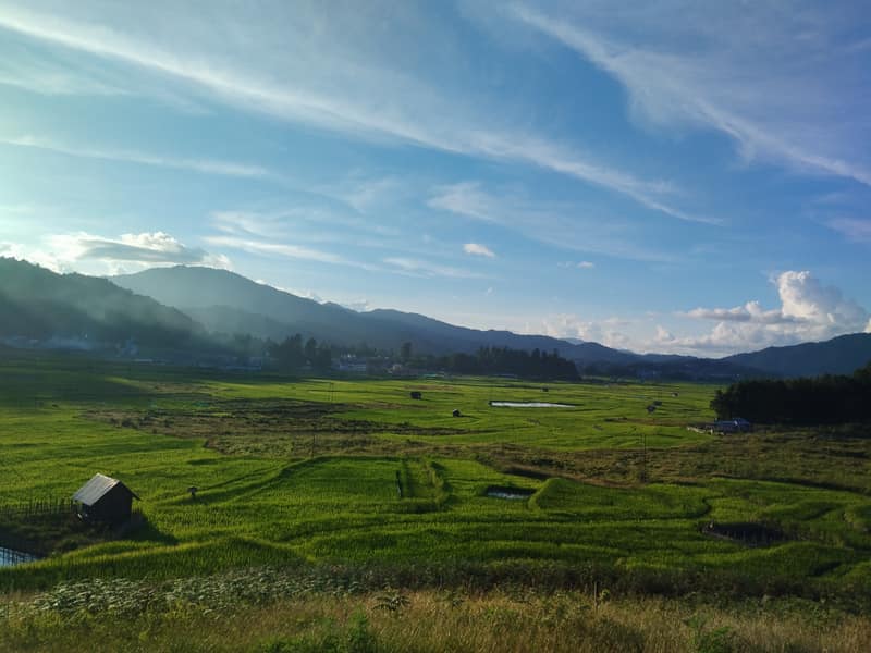 Ziro site — festival ground preparation