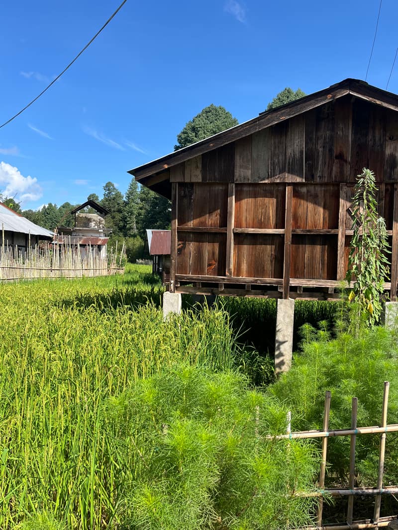 Ziro site — finishing and cladding