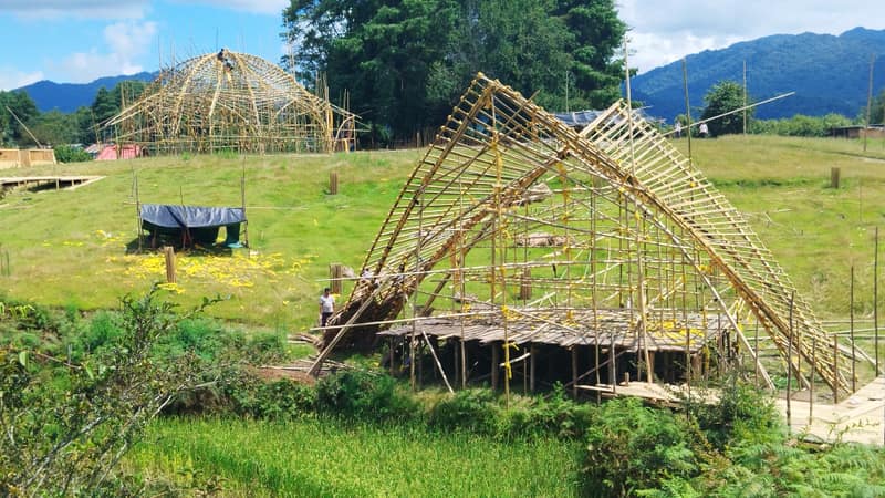 Ziro site — final structural detail