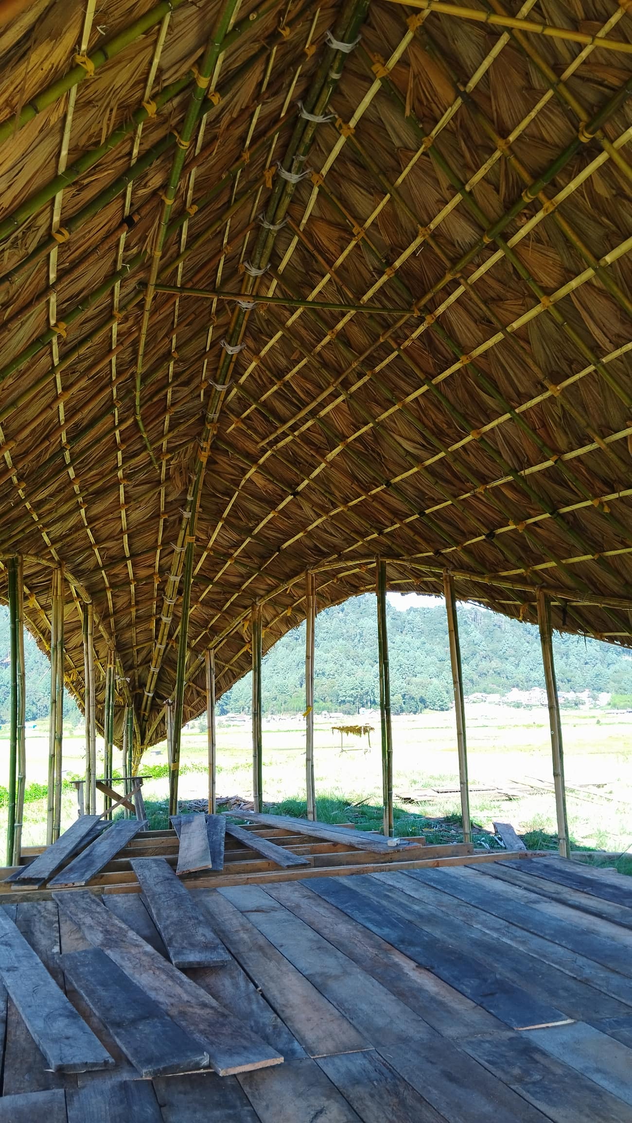 Ziro Music Festival — Popi Sermin detail