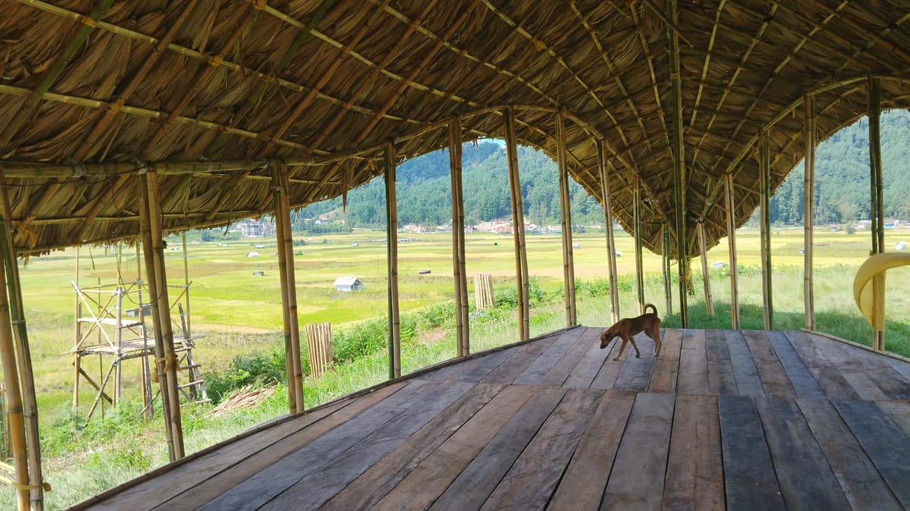 Ziro Music Festival — Popi Sermin side view