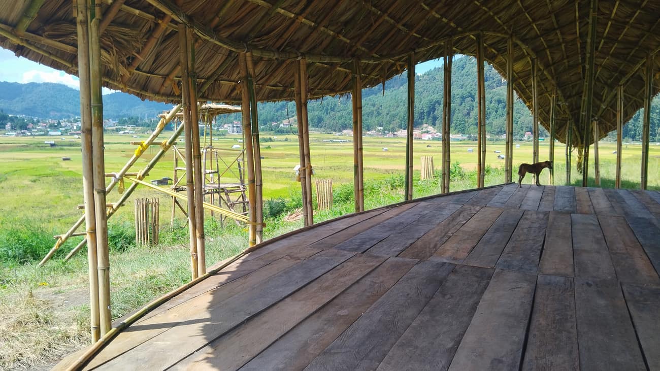 Ziro Music Festival — Popi Sermin canopy