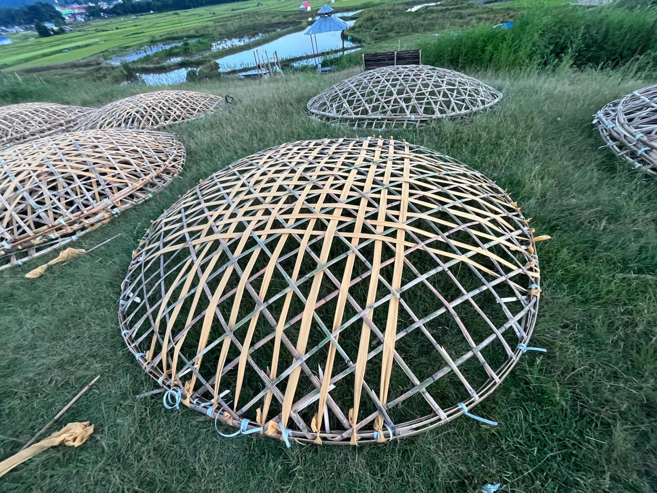 Ziro Music Festival — visitors plaza bamboo trees